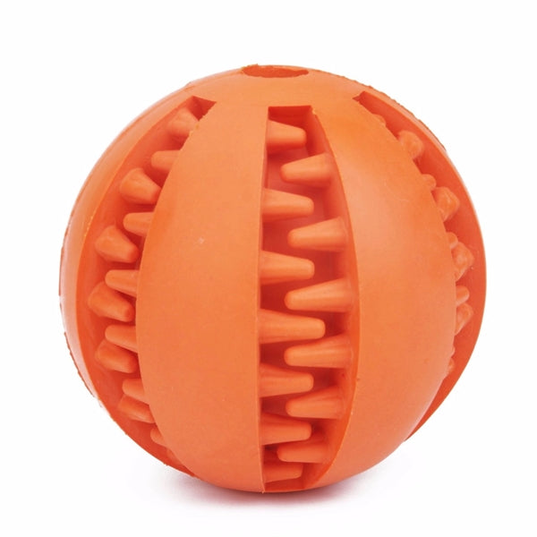 Dog Toothbrush Chew Ball