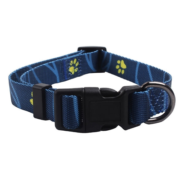 Outdoor Training Adjustable Collar Pet Leash Set