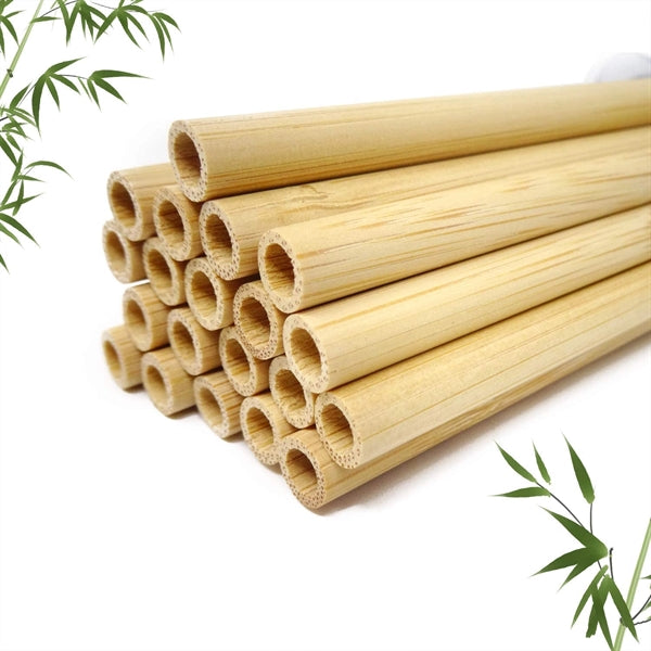 Natural Bamboo Toothbrushes