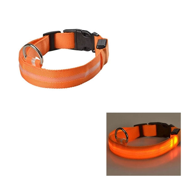 Outdoor LED Pet Dog Collar