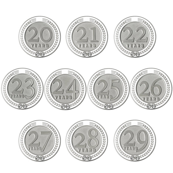 20-29 Years of Service Pin - White or Black