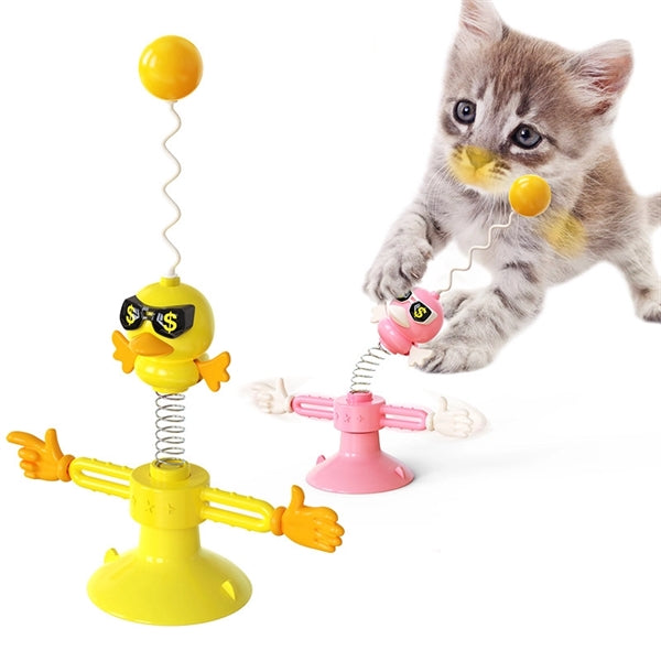 Interactive Cat Training Toy
