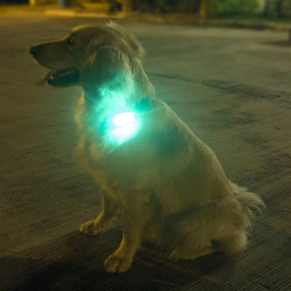 LED Safety Running Lights