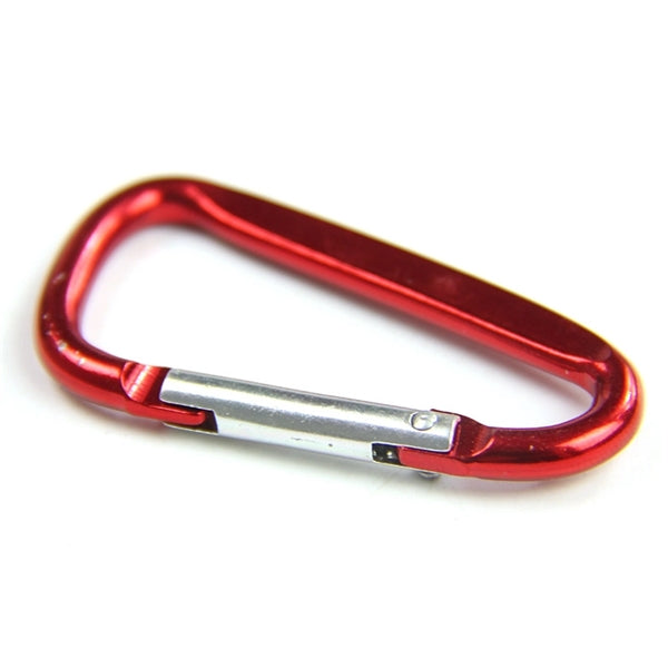 Carabiner with Keychain