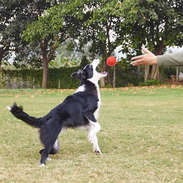 Solid Rubber Dog Balls