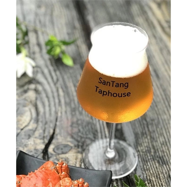 Teku Beer Glass