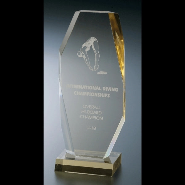 Acrylic Award