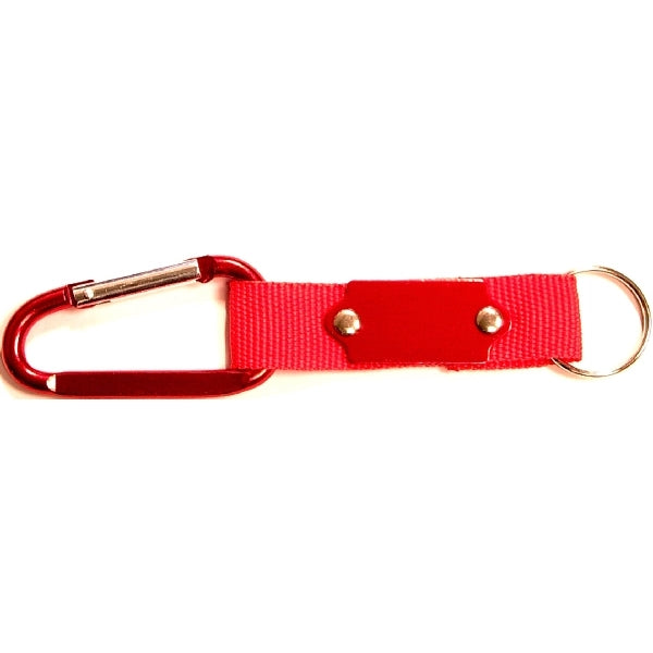 Carabiner with Strap and Metal Plate