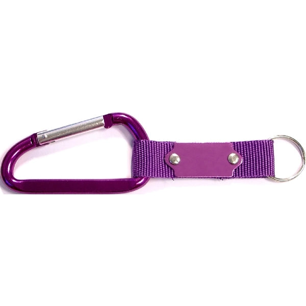 Carabiner with Strap and Metal Plate