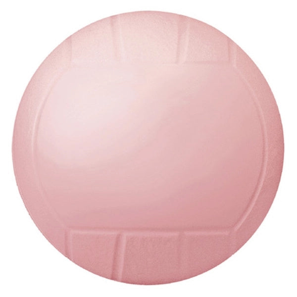 Mini Vinyl Volleyball