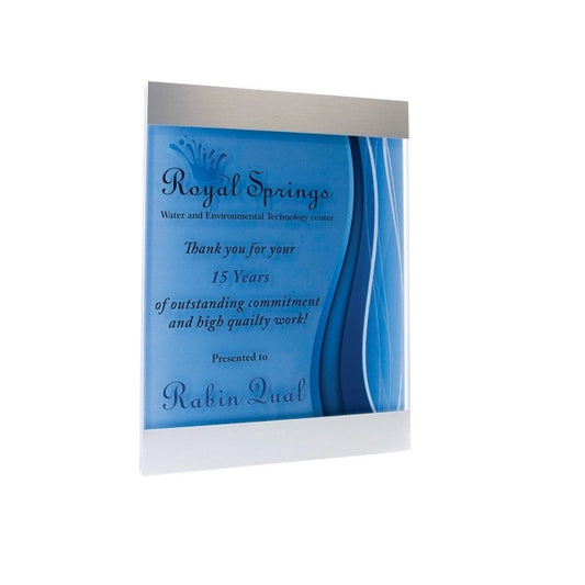 Accented Plane Plaque