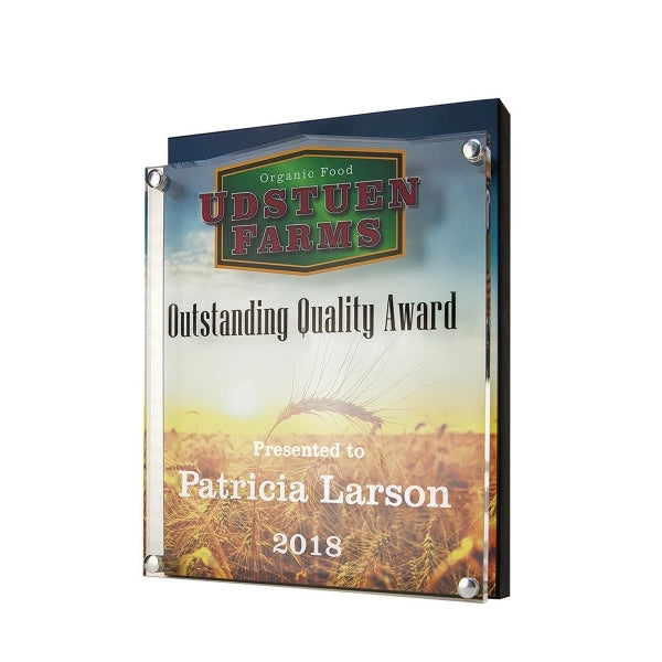 Double Vision Award