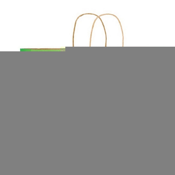 Matte Paper Shopper Bags in CMYK - Color Evolution