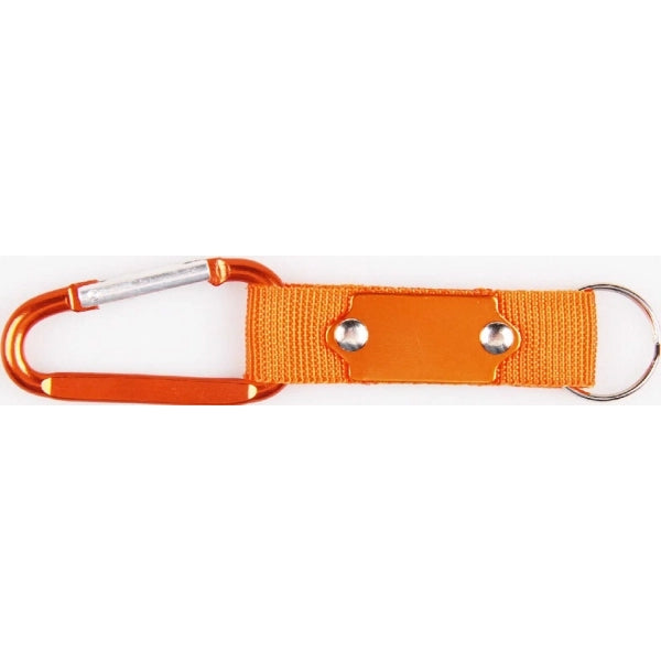 Carabiner with Strap and Metal Plate
