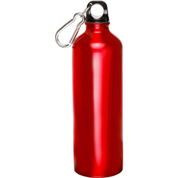Bottle Al 24 OZ