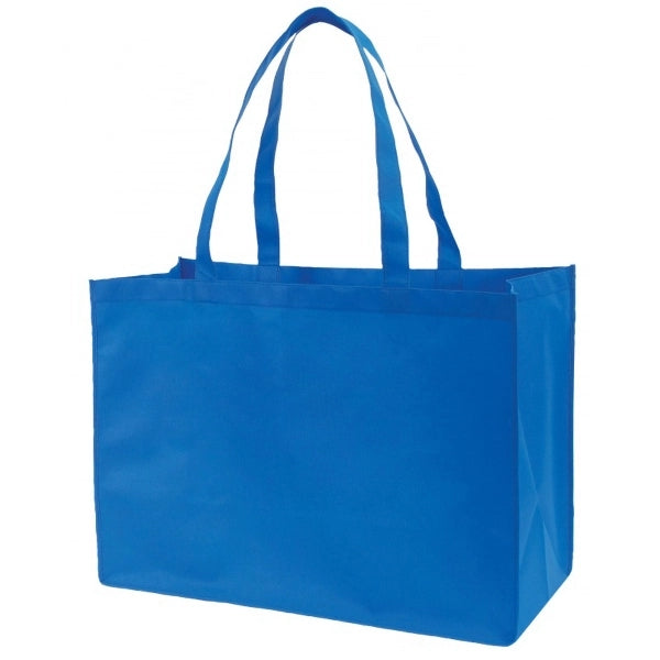 Non Woven Tote Bag 100 gm 22 Inches