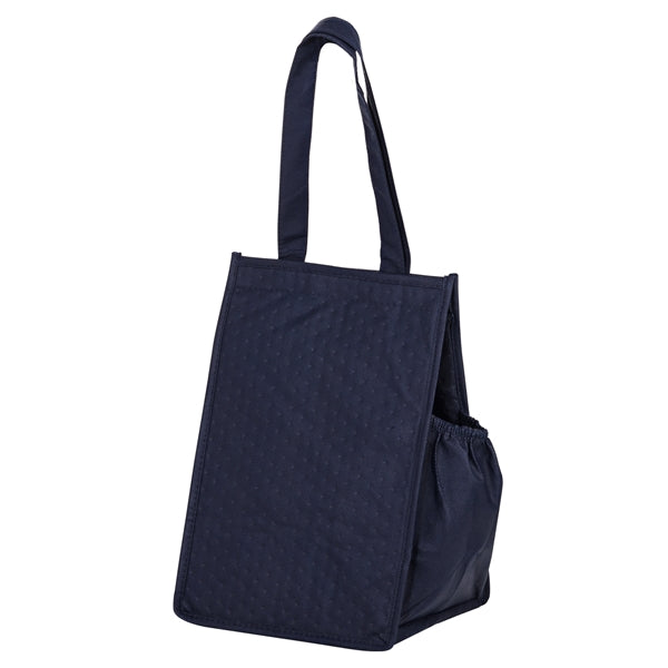 Insulated Lunch Tote - Color Evolution