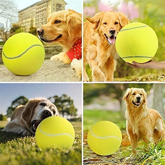Pet Tennis Balls
