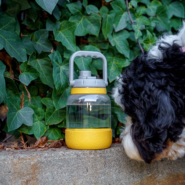 50 oz Asobu The Barkley Jug w/Bowl