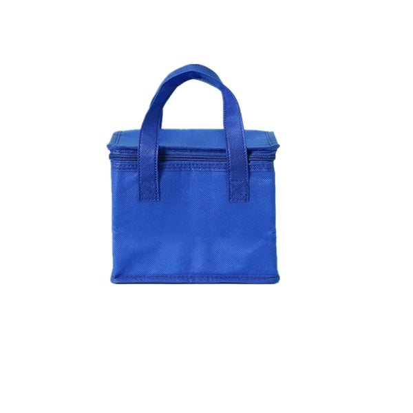 Insulated Food Delivery Bag