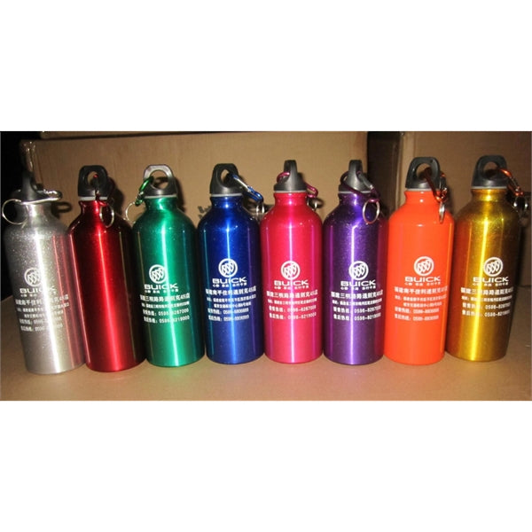 17OZ Sports Aluminum Bottle with carabiner