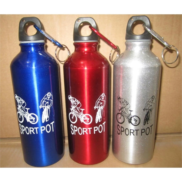 17OZ Sports Aluminum Bottle with carabiner