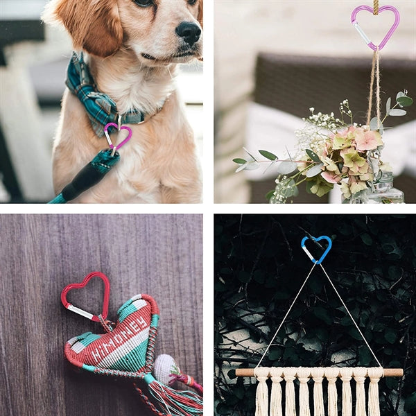 Heart Carabiner Key Chain