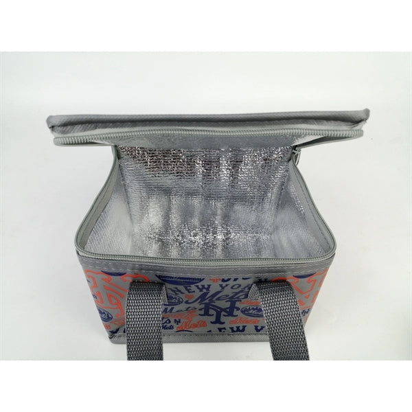 6 Can Cooler Lunch Bag