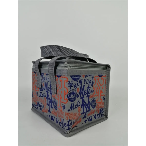 6 Can Cooler Lunch Bag