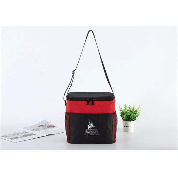 Dual Color Insulated Soft Cooler Bag