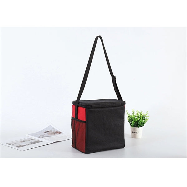 Dual Color Insulated Soft Cooler Bag