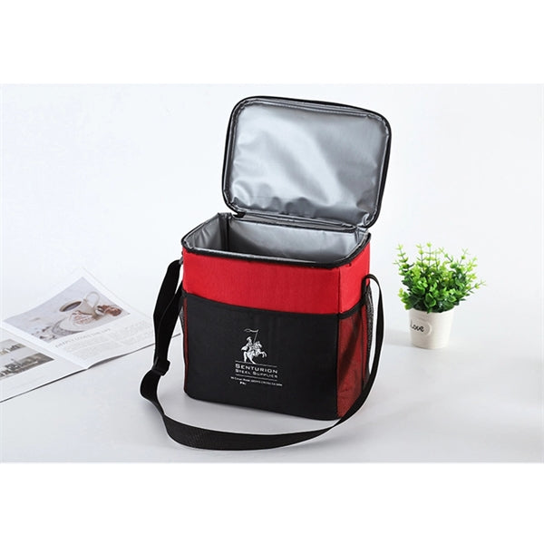 Dual Color Insulated Soft Cooler Bag