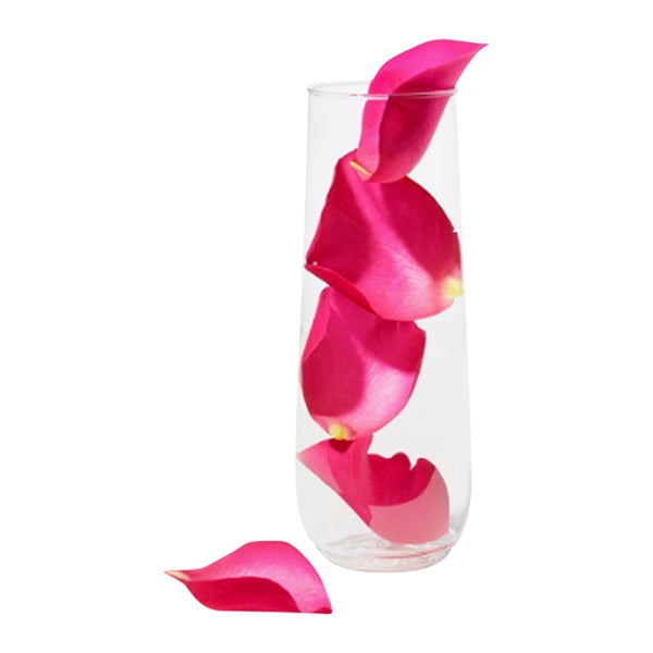 9oz Plastic Stemless Champagne Flute