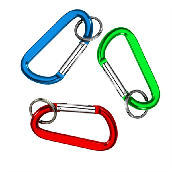 Carabiner Key Chain