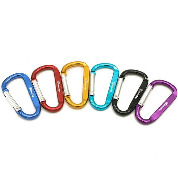 Carabiner Key Chain