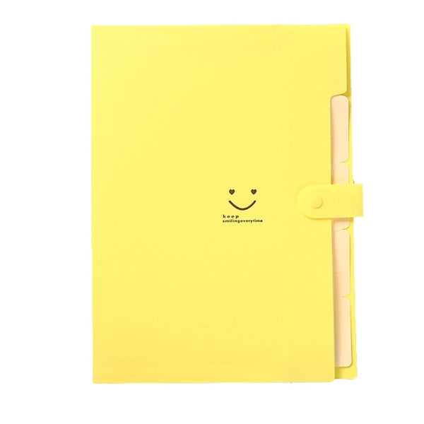 5 Pockets Expanding File Folder