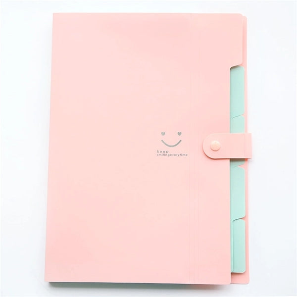 5 Pockets Expanding File Folder