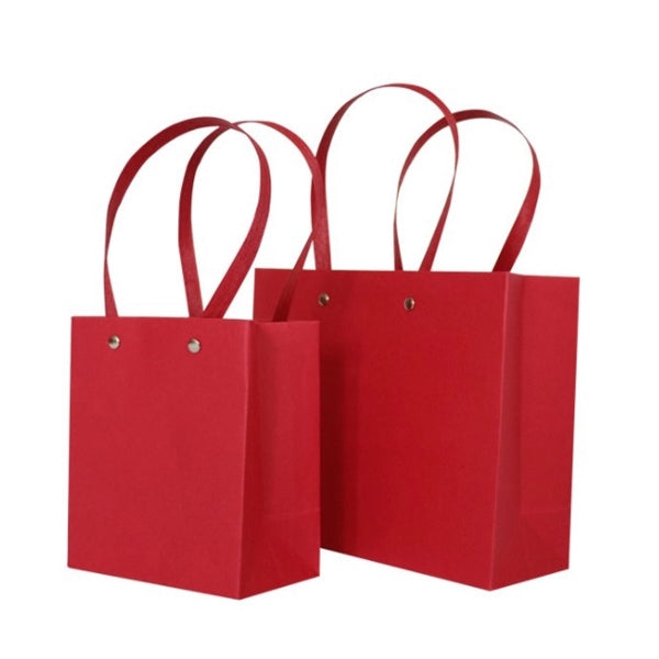 Christmas Gift Bag