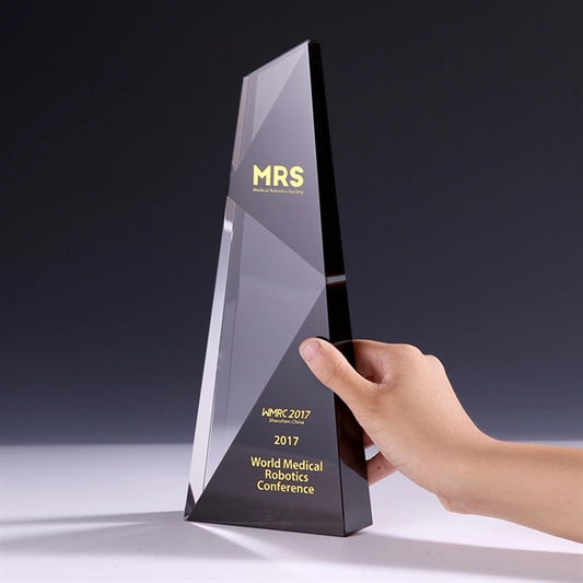 Large Heavy Weighted Crystal Award