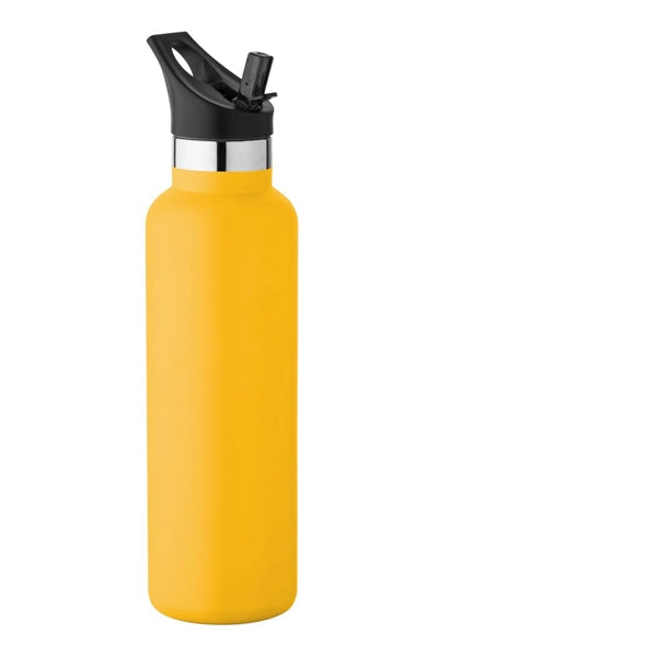 20oz Vacuum Insulated Bottle with straw