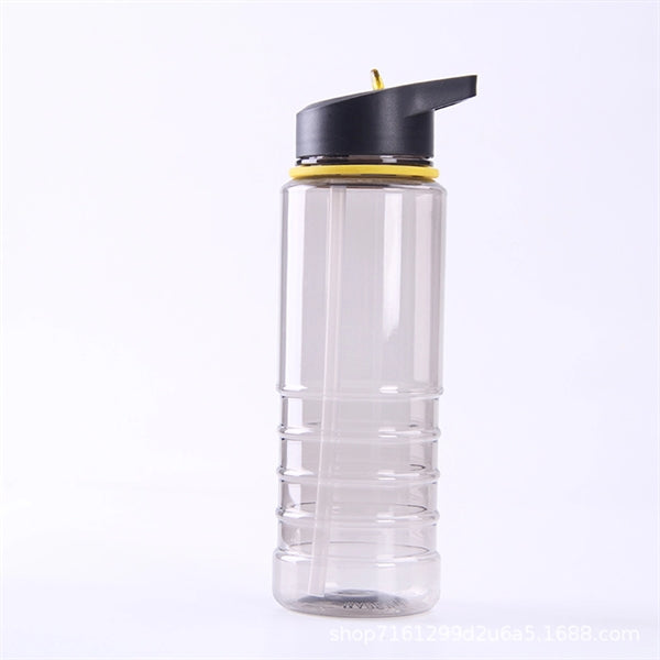 Translucent Gray Water Bottle With Flip Straw - 24 Oz.
