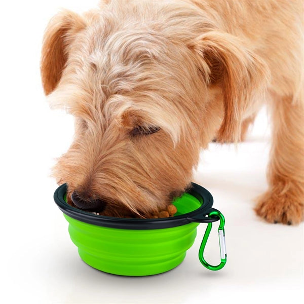 Portable Pet Bow