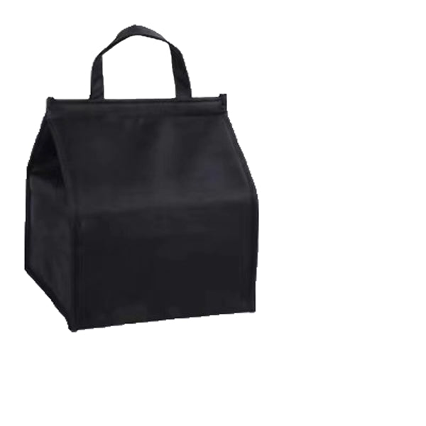 Non Woven Cooler Bag