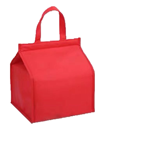 Non Woven Cooler Bag