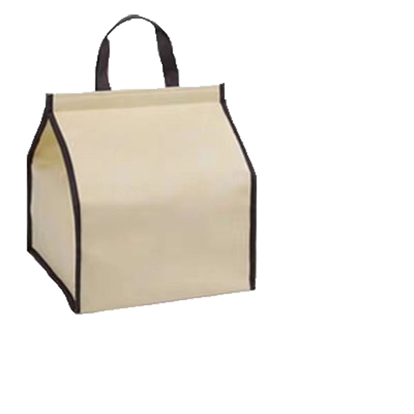Non Woven Cooler Bag