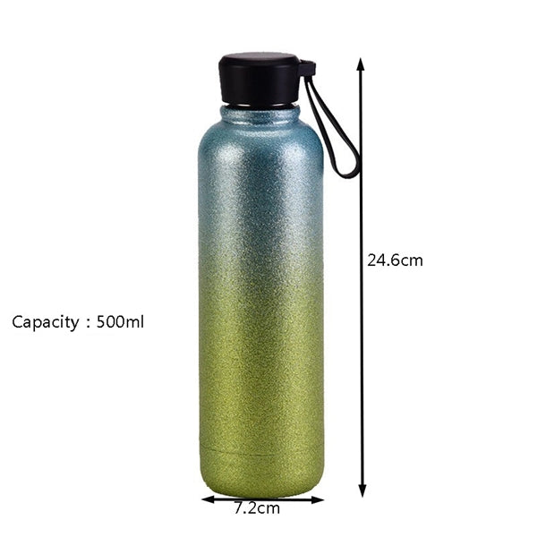 17oz Stainless Steel Water Bottle
