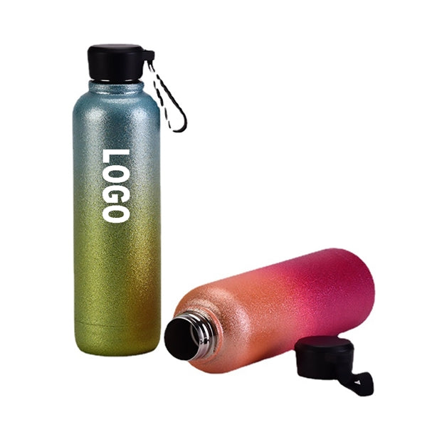 17oz Stainless Steel Water Bottle
