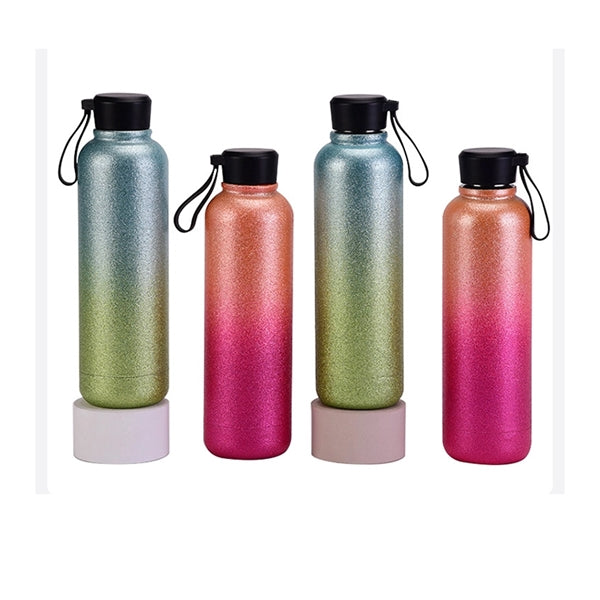 17oz Stainless Steel Water Bottle