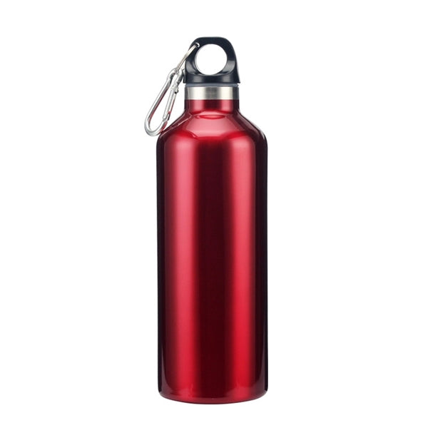 Double-Wall Vacuum Stainless steel Alpine Bottle