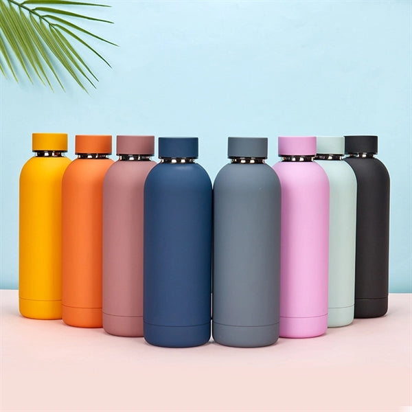 17 Oz.Stainless Steel Bottle